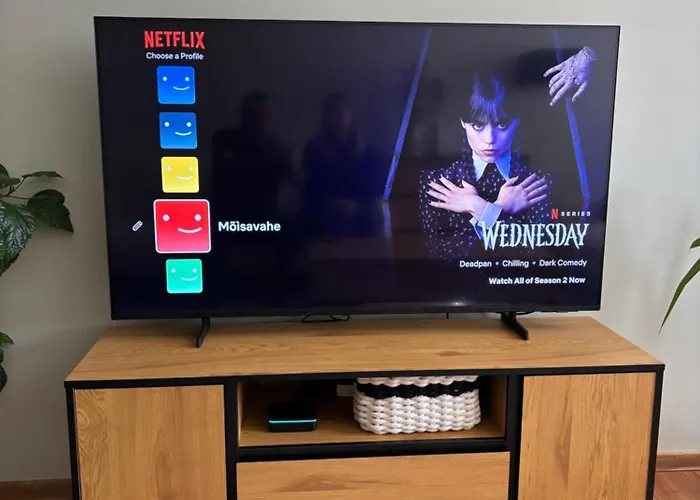 Pikk Street Apartament Tartu